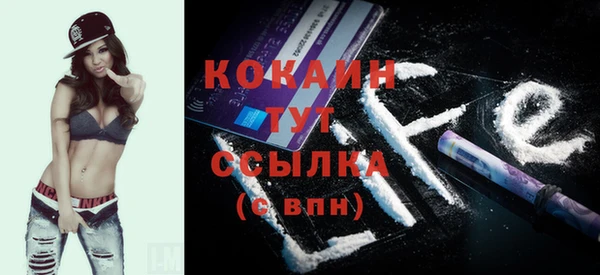 PSILOCYBIN Костерёво