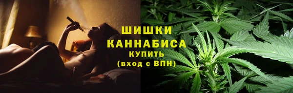 крисы Вязьма