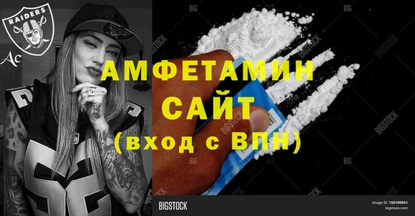 гашик Вяземский