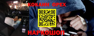 крисы Гагарин