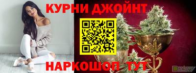 крисы Гагарин