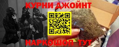 крисы Гагарин