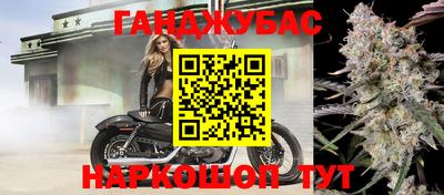 крисы Гагарин