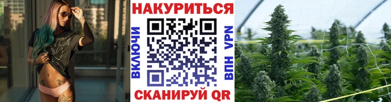 Канабис план Чита